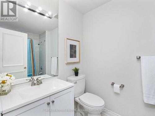 28 Joel Swirsky Boulevard, Toronto, ON - Indoor Photo Showing Bathroom