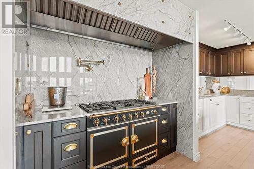 366 Elmgrove Drive, Lakeshore, ON - Indoor Photo Showing Kitchen With Upgraded Kitchen