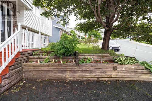 170 Highland Drive, St John'S, NL - Outdoor With Deck Patio Veranda