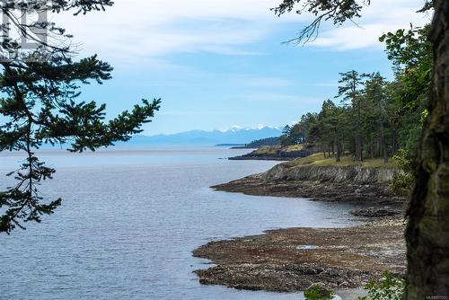 825 Cedar Bough Spur, Sidney Island, BC - Outdoor With Body Of Water With View