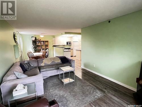 207 525 3Rd Avenue N, Saskatoon, SK - Indoor Photo Showing Living Room