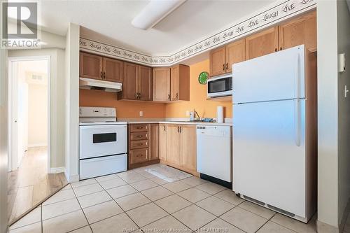 1323 Langlois Avenue Unit# 301, Windsor, ON - Indoor Photo Showing Kitchen