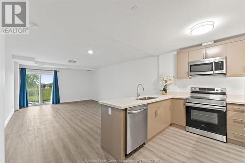 1489 Banwell Unit# 319, Windsor, ON - Indoor Photo Showing Kitchen With Double Sink