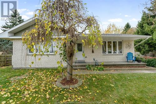 415 County Rd 34 West, Cottam, ON - Outdoor