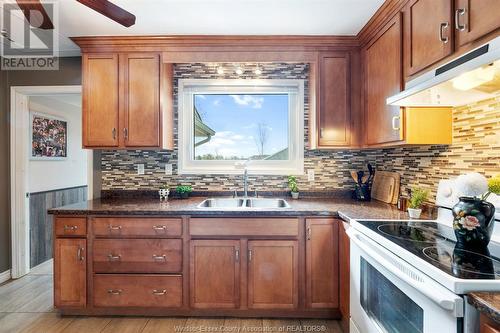 415 County Rd 34 West, Cottam, ON - Indoor Photo Showing Kitchen With Double Sink