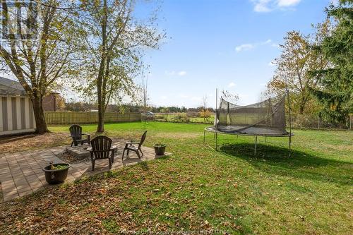 415 County Rd 34 West, Cottam, ON - Outdoor