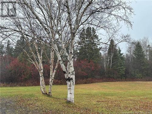 106 Jacquet River Drive, Belledune, NB - Outdoor With View