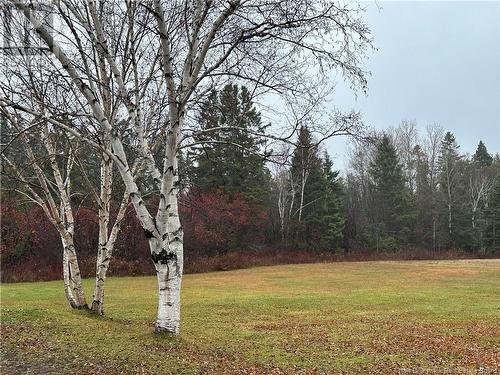 106 Jacquet River Drive, Belledune, NB - Outdoor With View