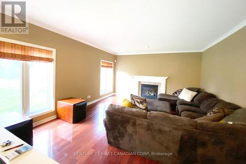 1163 Manchester Road, London, ON - Indoor Photo Showing Living Room With Fireplace