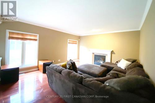 1163 Manchester Road, London, ON - Indoor Photo Showing Living Room With Fireplace