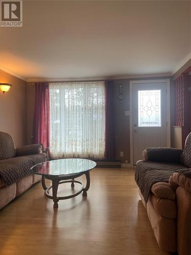 4 Cemetery Road, Botwood, NL - Indoor Photo Showing Living Room