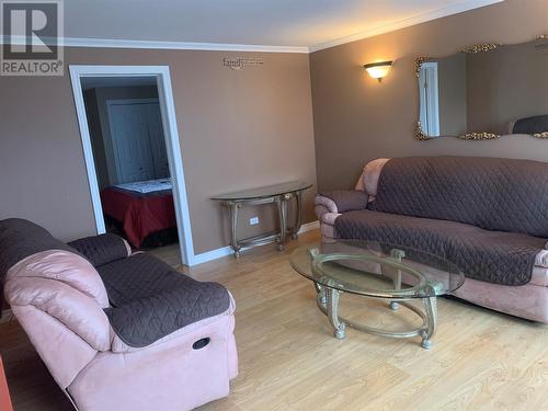 4 Cemetery Road, Botwood, NL - Indoor Photo Showing Living Room