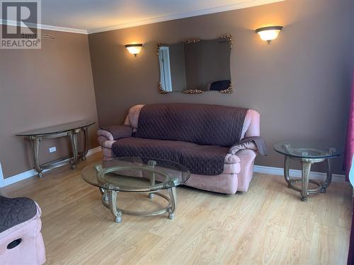 4 Cemetery Road, Botwood, NL - Indoor Photo Showing Living Room