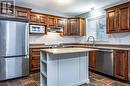 18 Goldrock Run, Conception Bay South, NL  - Indoor Photo Showing Kitchen With Double Sink 