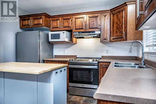 18 Goldrock Run, Conception Bay South, NL - Indoor Photo Showing Kitchen With Double Sink