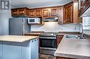 18 Goldrock Run, Conception Bay South, NL  - Indoor Photo Showing Kitchen With Double Sink 