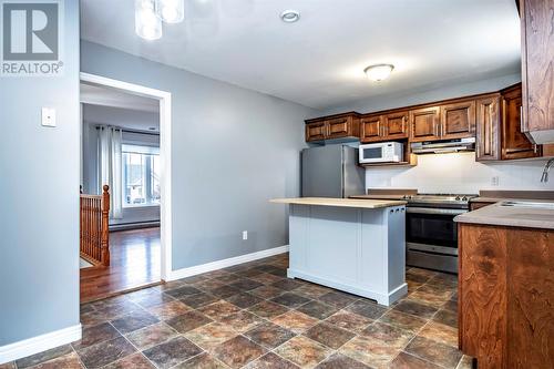 18 Goldrock Run, Conception Bay South, NL - Indoor Photo Showing Kitchen