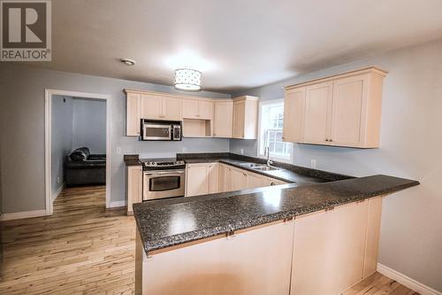 10 Park Drive, Rocky Harbour, NL - Indoor Photo Showing Kitchen With Double Sink