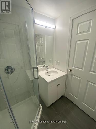 305 - 1 Wellington Street, Brantford, ON - Indoor Photo Showing Bathroom