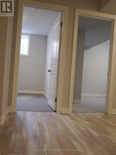 Lower - 22 Bounty Avenue, Thorold, ON - Indoor Photo Showing Other Room