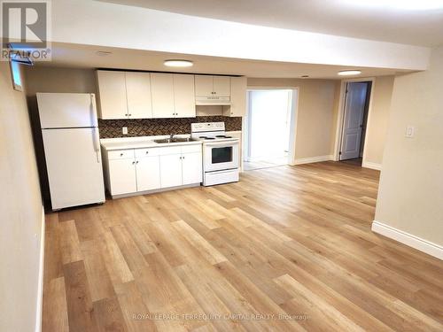 Lower - 373 Mohawk Road W, Hamilton, ON - Indoor Photo Showing Kitchen With Double Sink