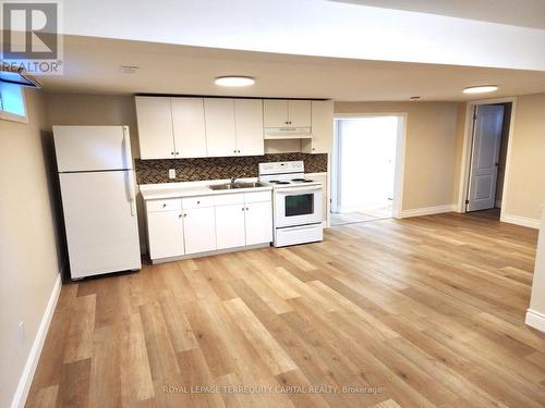 Lower - 373 Mohawk Road W, Hamilton, ON - Indoor Photo Showing Kitchen With Double Sink