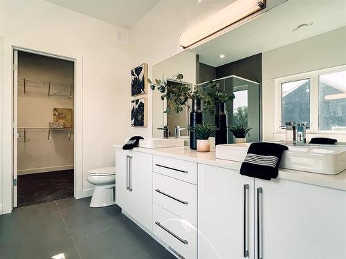 12 Thompson Court, Oak Bluff, MB - Indoor Photo Showing Bathroom