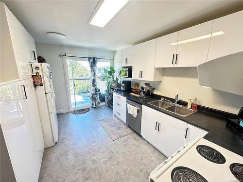 2326 Panorama View Dr, Nanaimo, BC - Indoor Photo Showing Kitchen With Double Sink