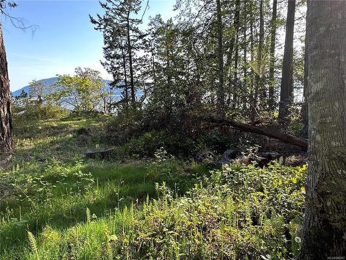 Lot 11 Mountain Park Dr, Salt Spring, BC 