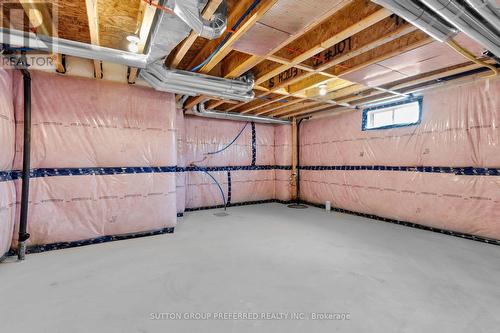 1 Bouw Place, Dutton/Dunwich (Dutton), ON - Indoor Photo Showing Basement