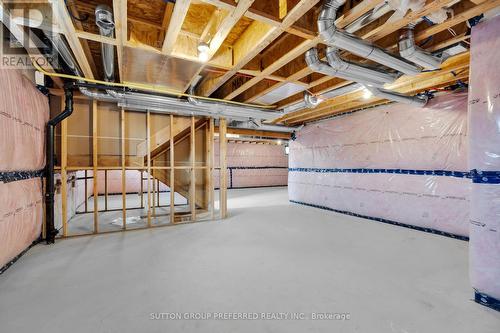 1 Bouw Place, Dutton/Dunwich (Dutton), ON - Indoor Photo Showing Basement