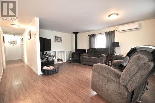 186 Broad Lake Road, Bellevue, NL - Indoor Photo Showing Living Room