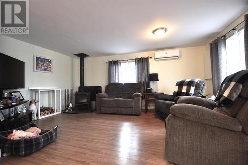 186 Broad Lake Road, Bellevue, NL - Indoor Photo Showing Living Room