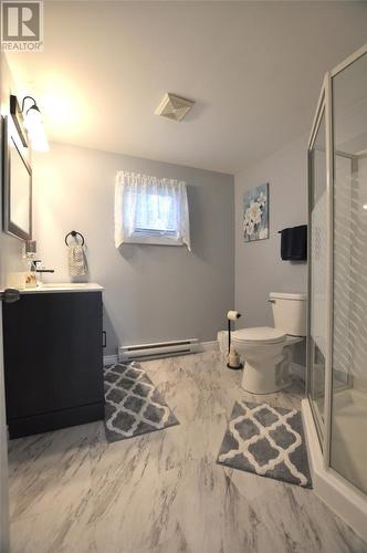 186 Broad Lake Road, Bellevue, NL - Indoor Photo Showing Bathroom