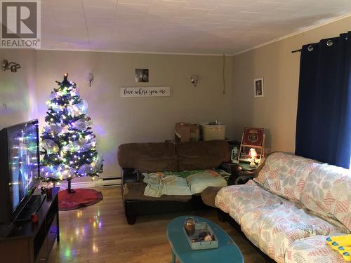 17 Patrick Street, Carbonear, NL - Indoor Photo Showing Living Room