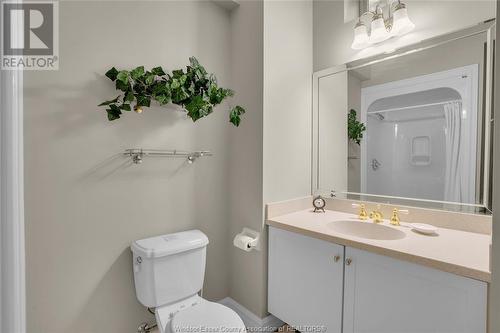 206 Crystal Bay Drive, Amherstburg, ON - Indoor Photo Showing Bathroom