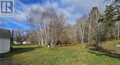 319 Tobique Road, Grand Falls, NB - Outdoor