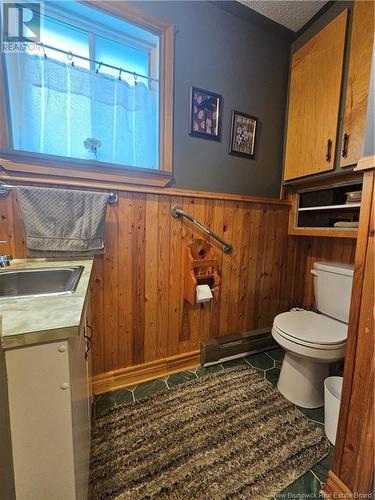 319 Tobique Road, Grand Falls, NB - Indoor Photo Showing Bathroom