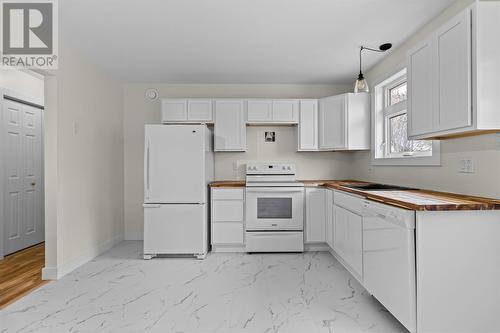 43 Moores Drive, Mount Pearl, NL - Indoor Photo Showing Kitchen