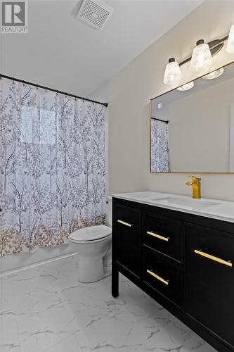 43 Moores Drive, Mount Pearl, NL - Indoor Photo Showing Bathroom