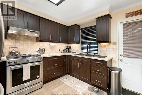 1585 Alexis, Windsor, ON - Indoor Photo Showing Kitchen