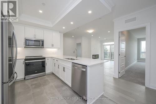 307 - 1975 Fountain Grass Drive, London, ON - Indoor Photo Showing Kitchen With Stainless Steel Kitchen With Double Sink With Upgraded Kitchen