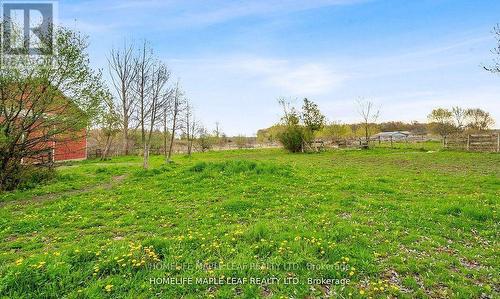 64067 Wellandport Road, Wainfleet, ON - Outdoor