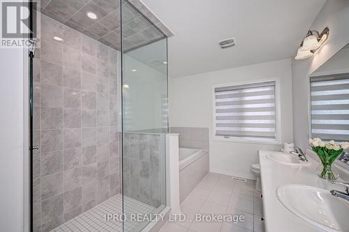 66 John Carpenter Road, North Dumfries, ON - Indoor Photo Showing Bathroom