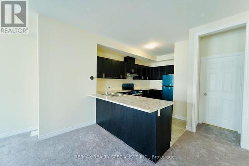 149 - 677 Park Road N, Brantford, ON - Indoor Photo Showing Kitchen