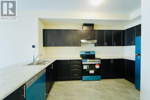 149 - 677 Park Road N, Brantford, ON - Indoor Photo Showing Kitchen With Double Sink