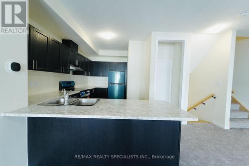 149 - 677 Park Road N, Brantford, ON - Indoor Photo Showing Kitchen With Double Sink