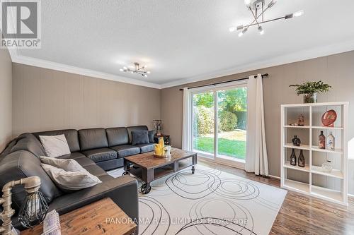 11 Park Manor Drive, Toronto, ON - Indoor Photo Showing Living Room