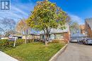 19 Mulgrove Drive, Toronto, ON  - Outdoor 