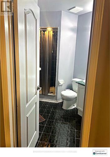 Upper - 18 Zebra Trail, Brampton, ON - Indoor Photo Showing Bathroom